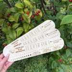 Sockenlineal -personalisiert - – Bild 2